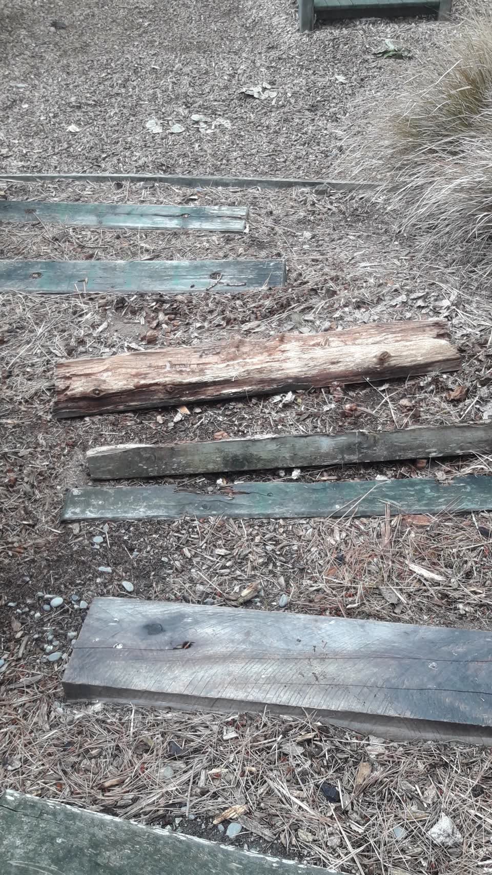 The photograph attached to this parks report