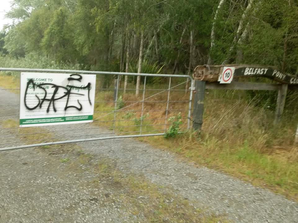 The photograph attached to this graffiti report