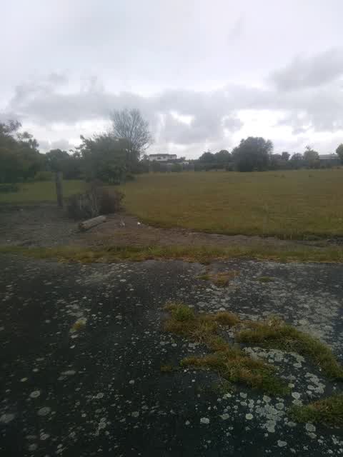 Roading/Streets, a report photo