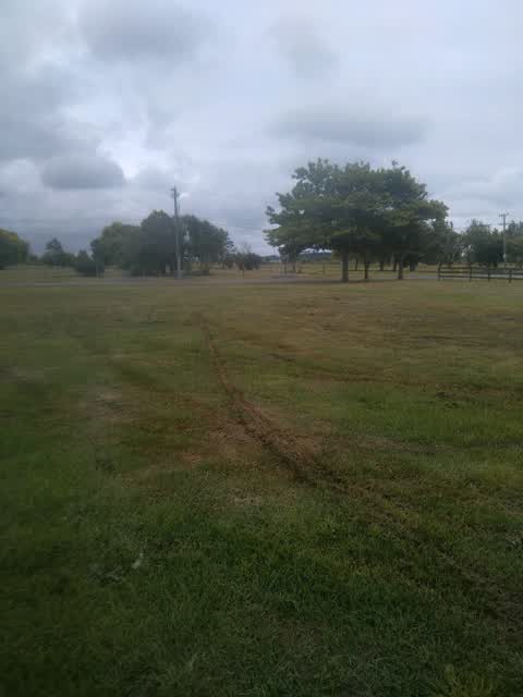 Parks, a report photo