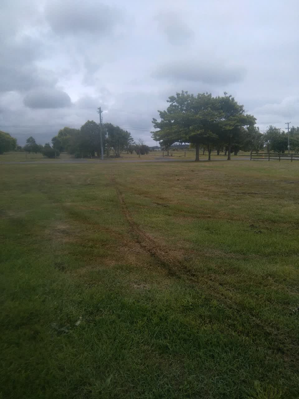 The photograph attached to this parks report