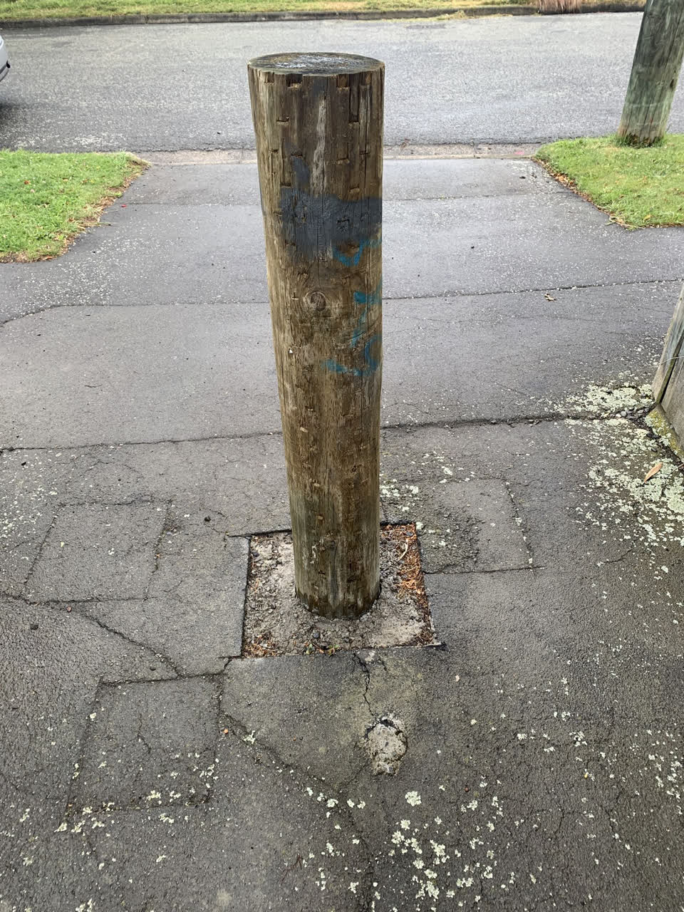 The photograph attached to this street light outage report