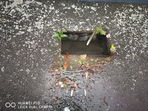 Water Leak, a report photo