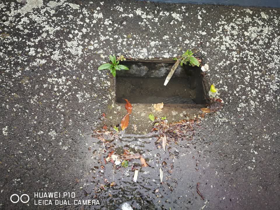 The photograph attached to this water leak report