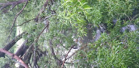Flooding, a report photo