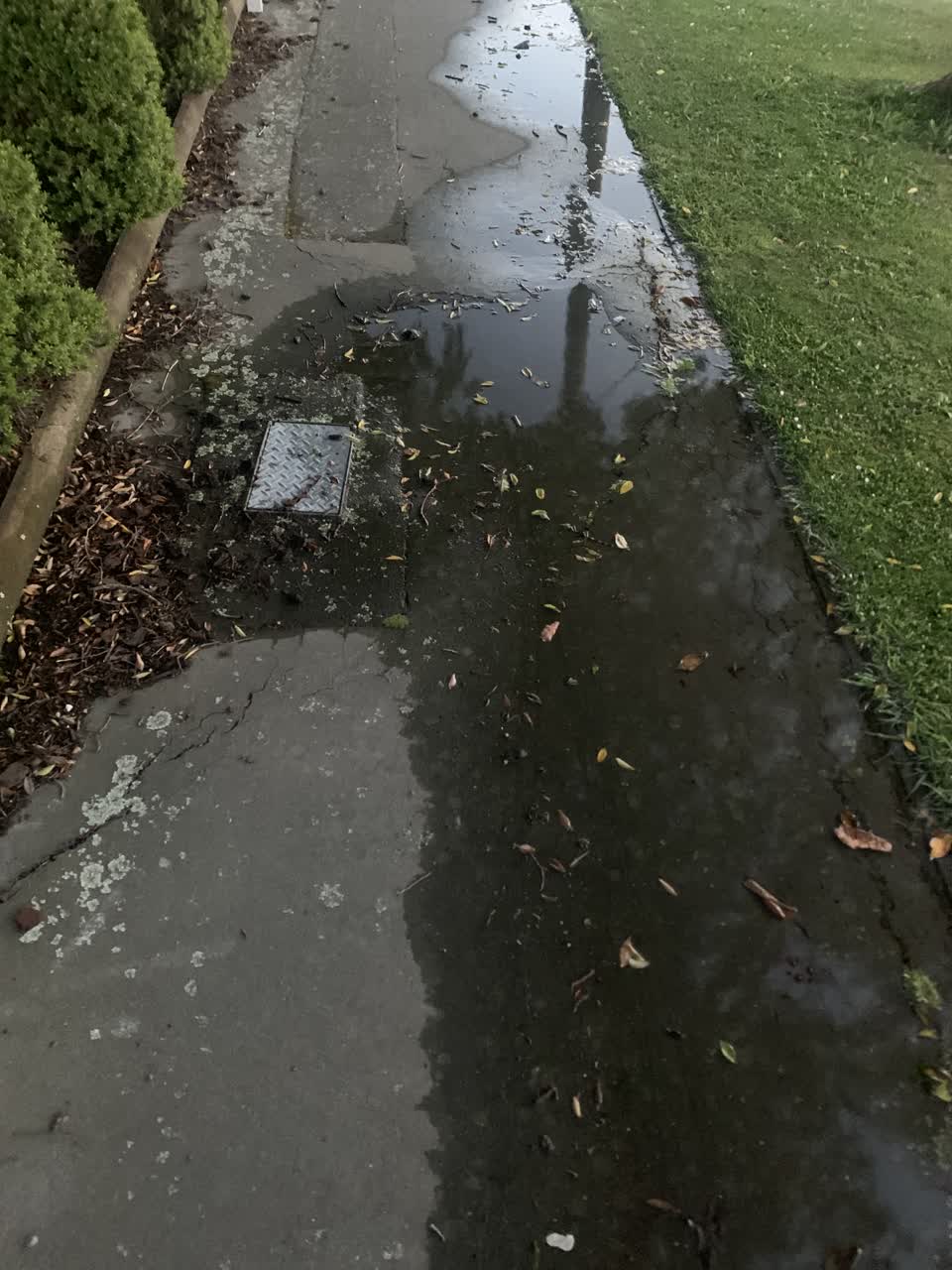 The photograph attached to this water leak report