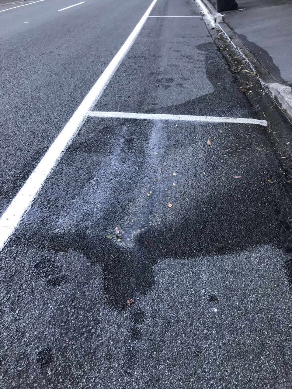 The photograph attached to this water leak report