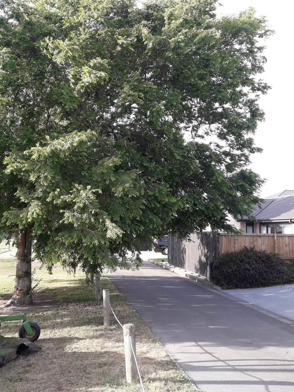 The photograph attached to this parks report