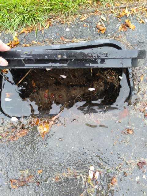 Water Leak, a report photo