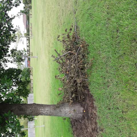 Parks, a report photo