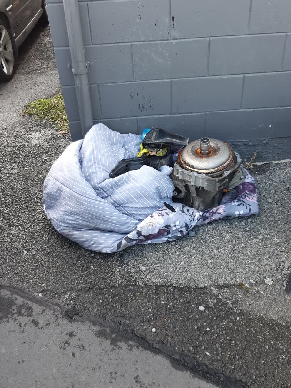 The photograph attached to this parks report