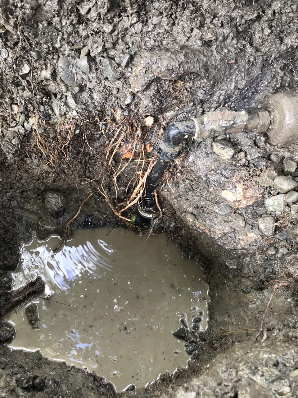 The photograph attached to this water leak report
