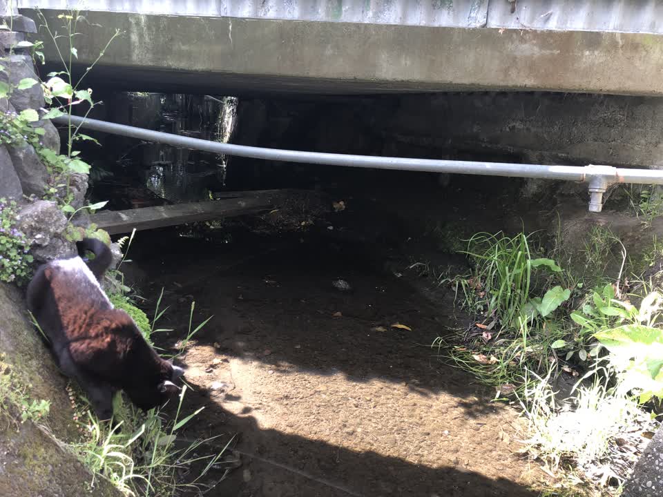 The photograph attached to this wastewater/stormwater report