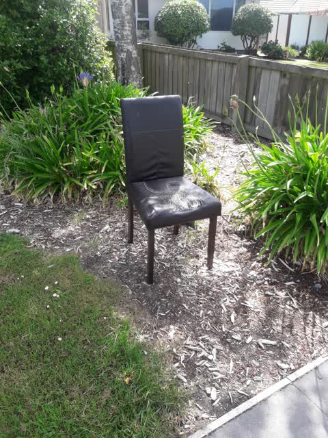Rubbish/Recycling, a report photo