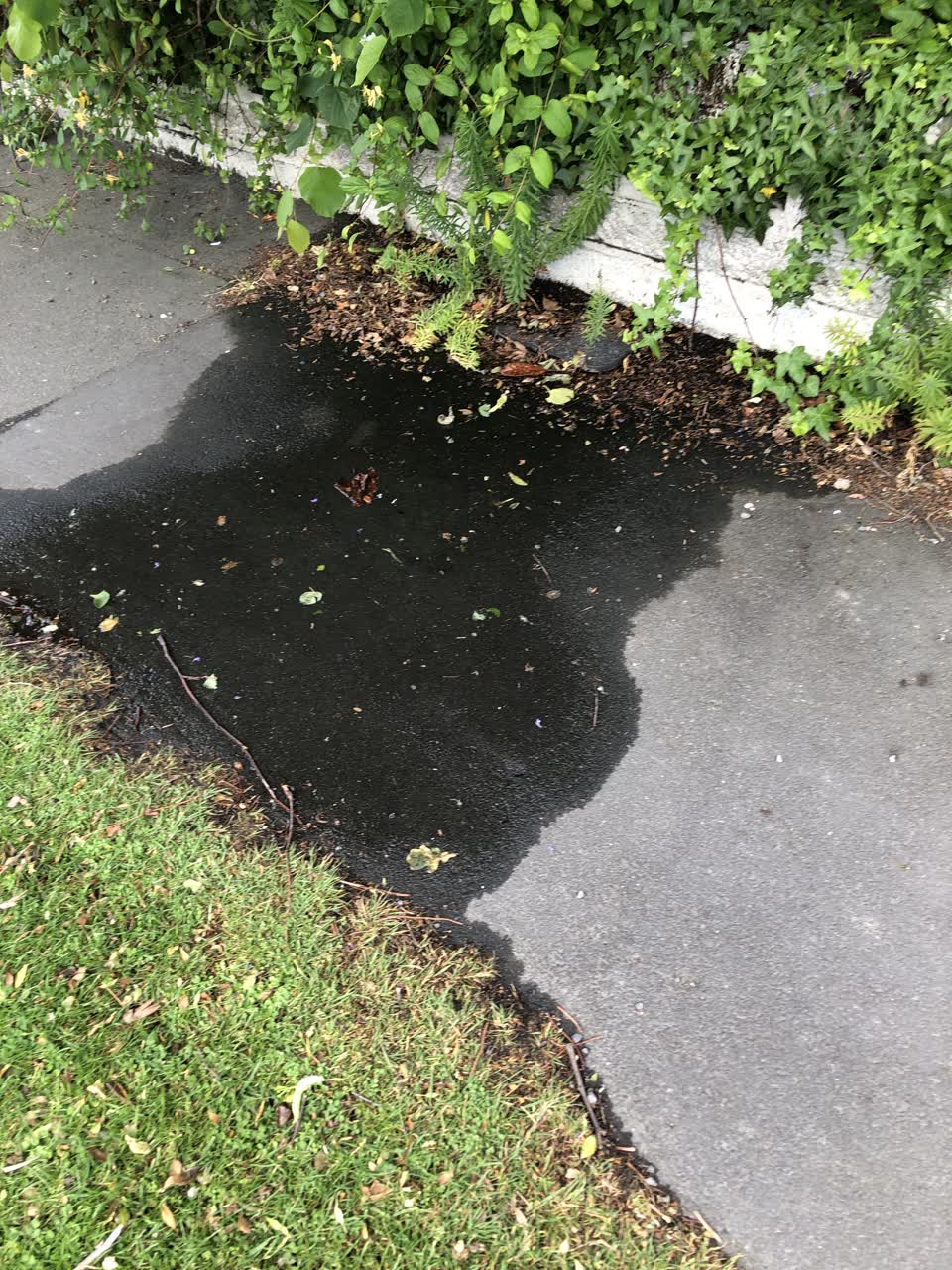 The photograph attached to this water leak report
