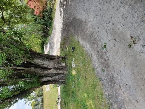 Parks, a report photo