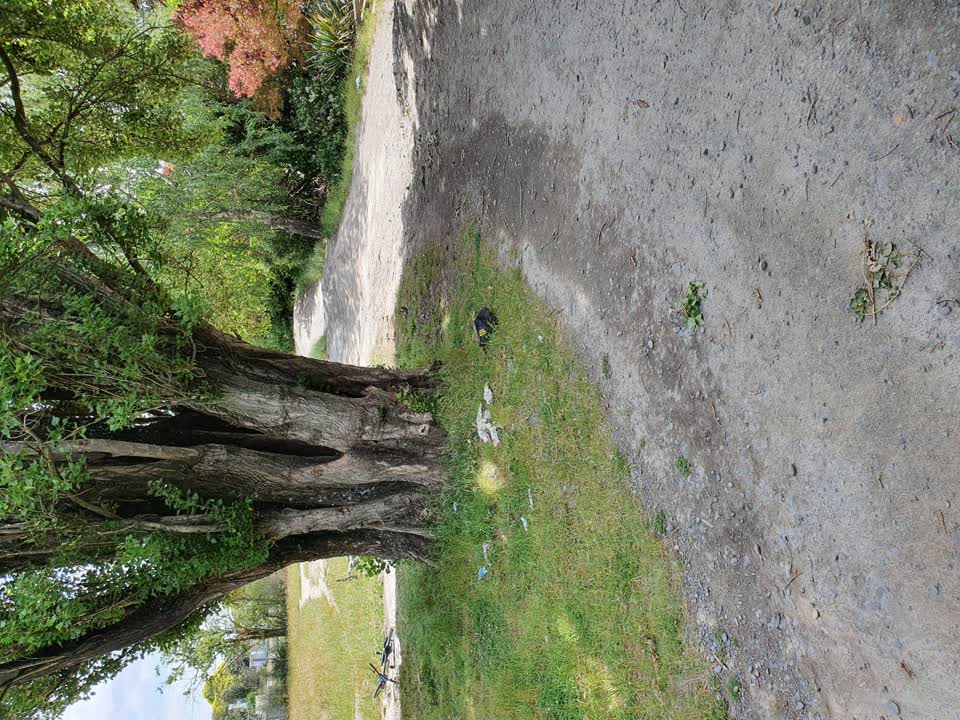 The photograph attached to this parks report