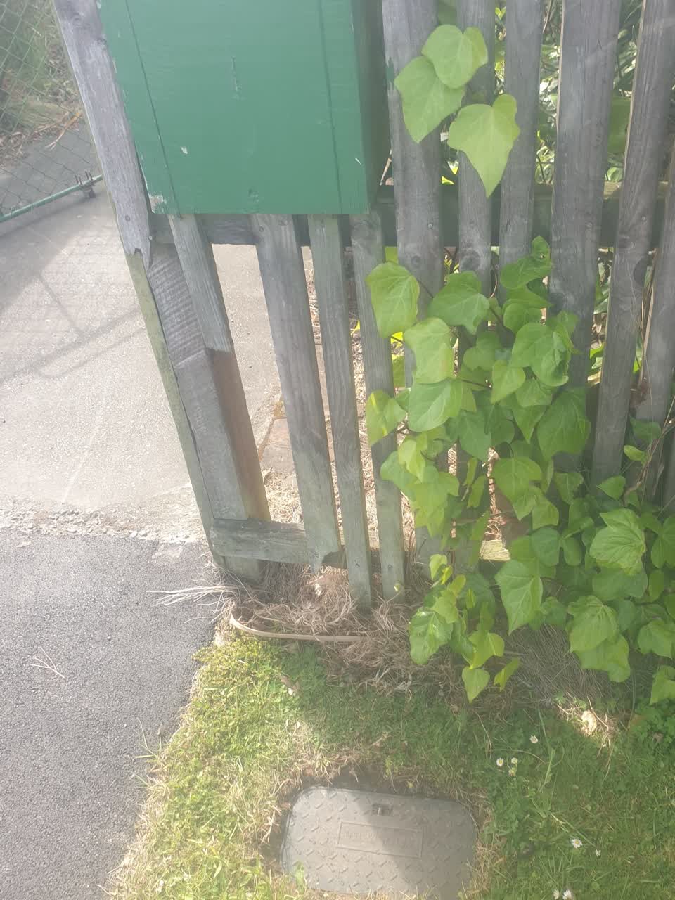 The photograph attached to this water supply report
