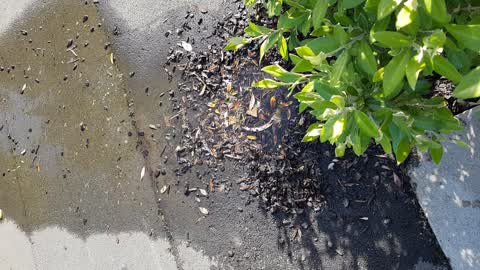 Water Leak, a report photo