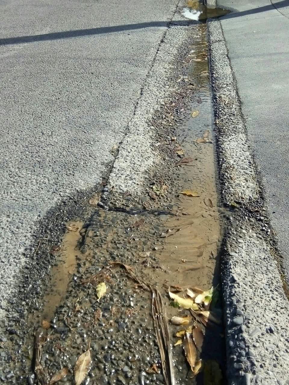 The photograph attached to this water leak report