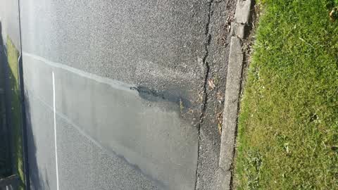 Roading/Streets, a report photo