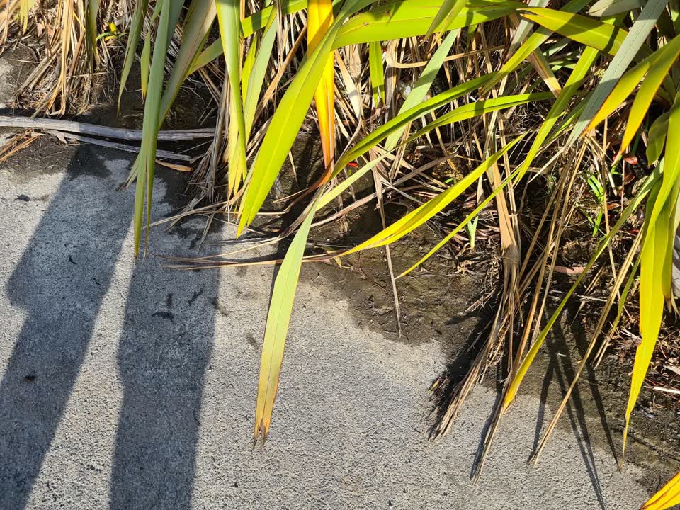 The photograph attached to this water leak report