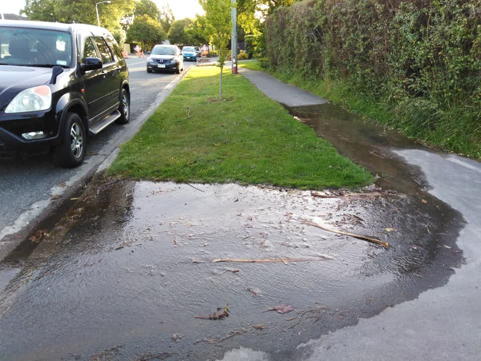 The photograph attached to this water leak report