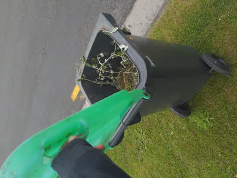 Rubbish/Recycling, a report photo