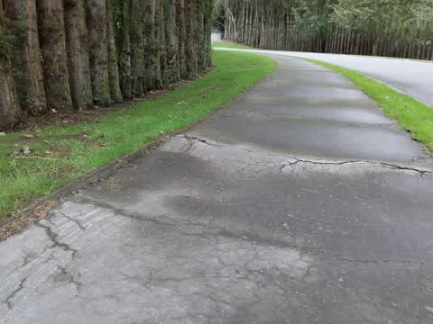 Roading/Streets, a report photo