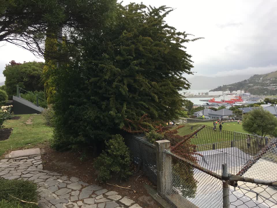 The photograph attached to this parks report