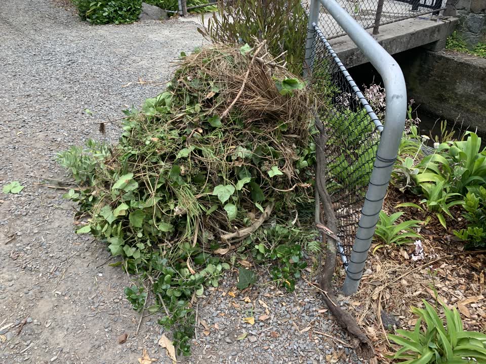 The photograph attached to this parks report