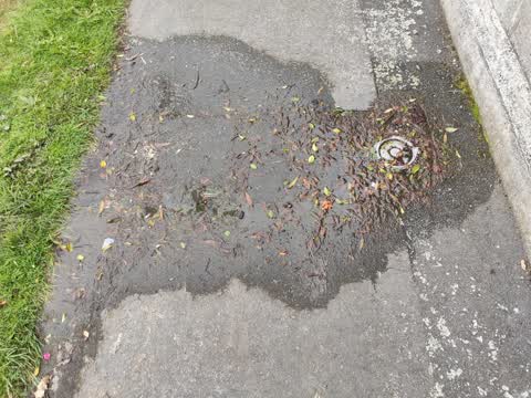 Water Leak, a report photo
