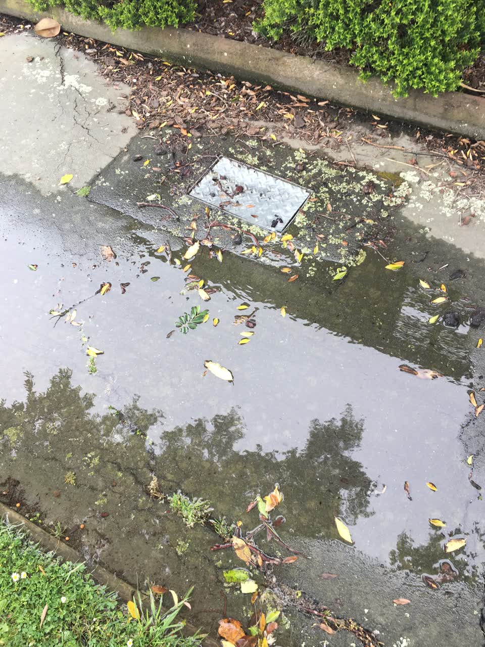 The photograph attached to this water leak report