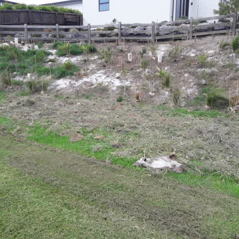 Parks, a report photo
