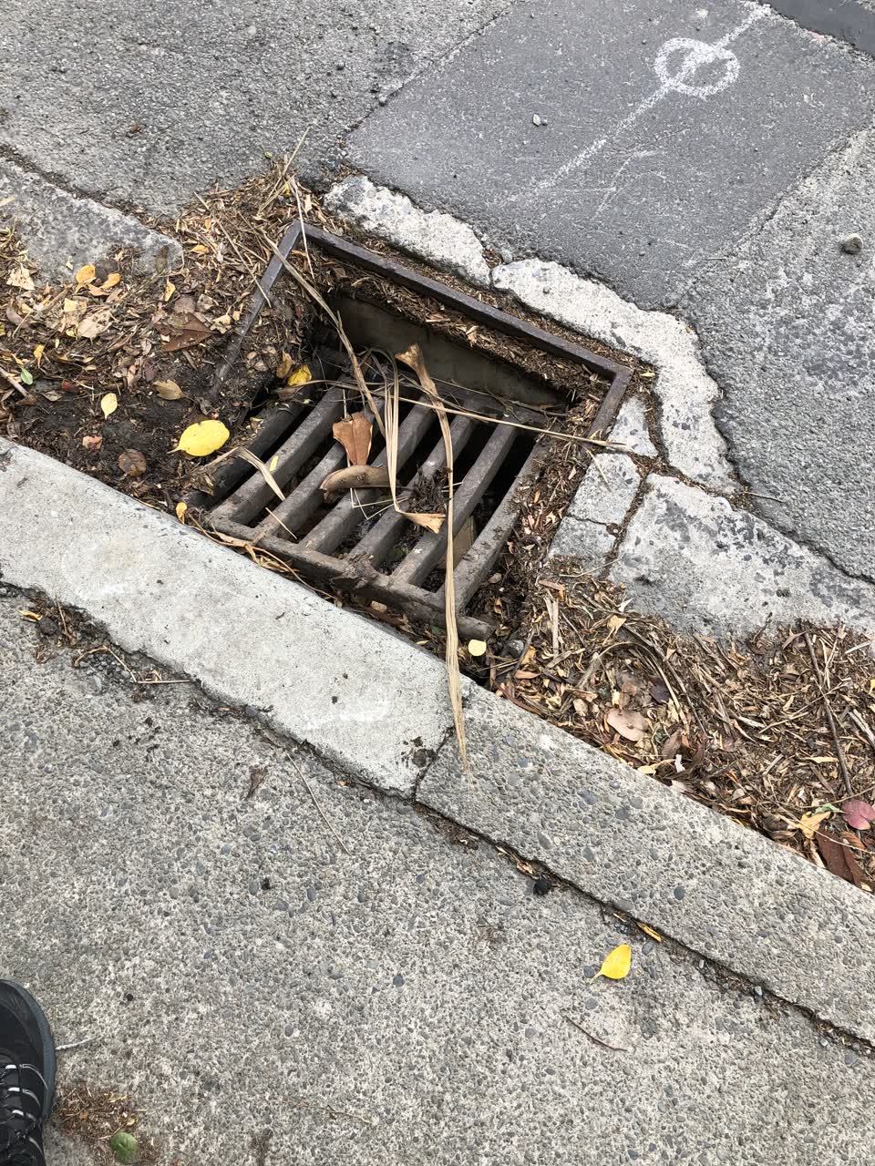 The photograph attached to this wastewater/stormwater report