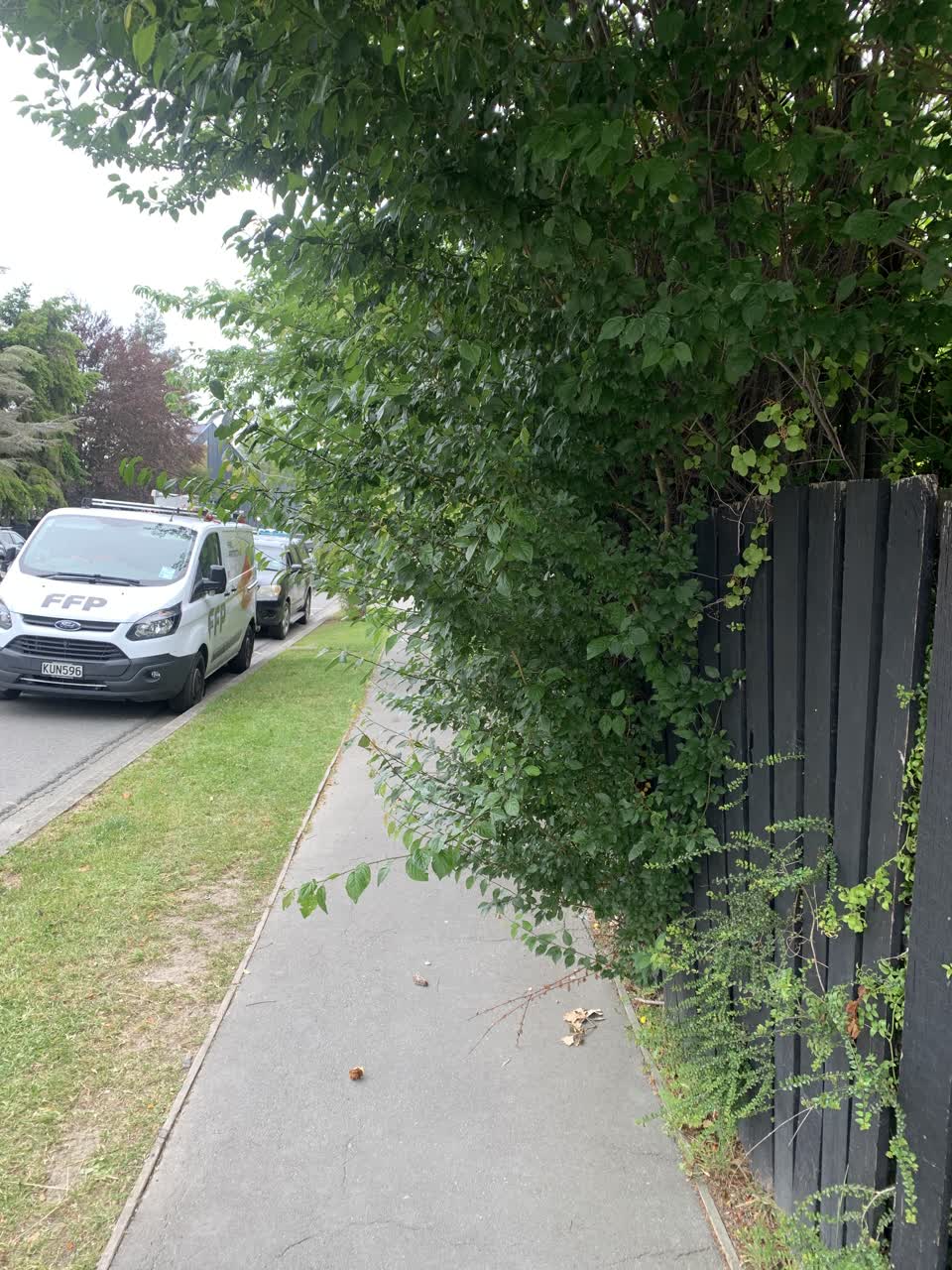 The photograph attached to this street light outage report