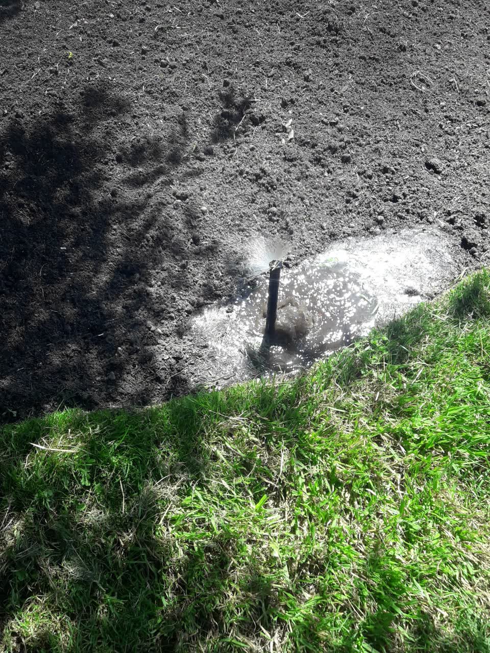 The photograph attached to this parks report