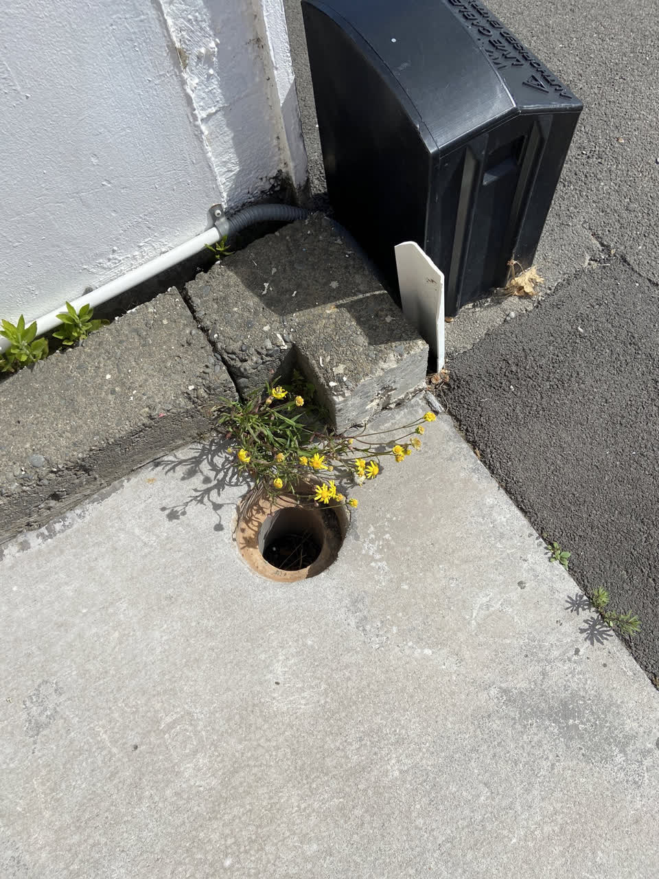 The photograph attached to this wastewater/stormwater report