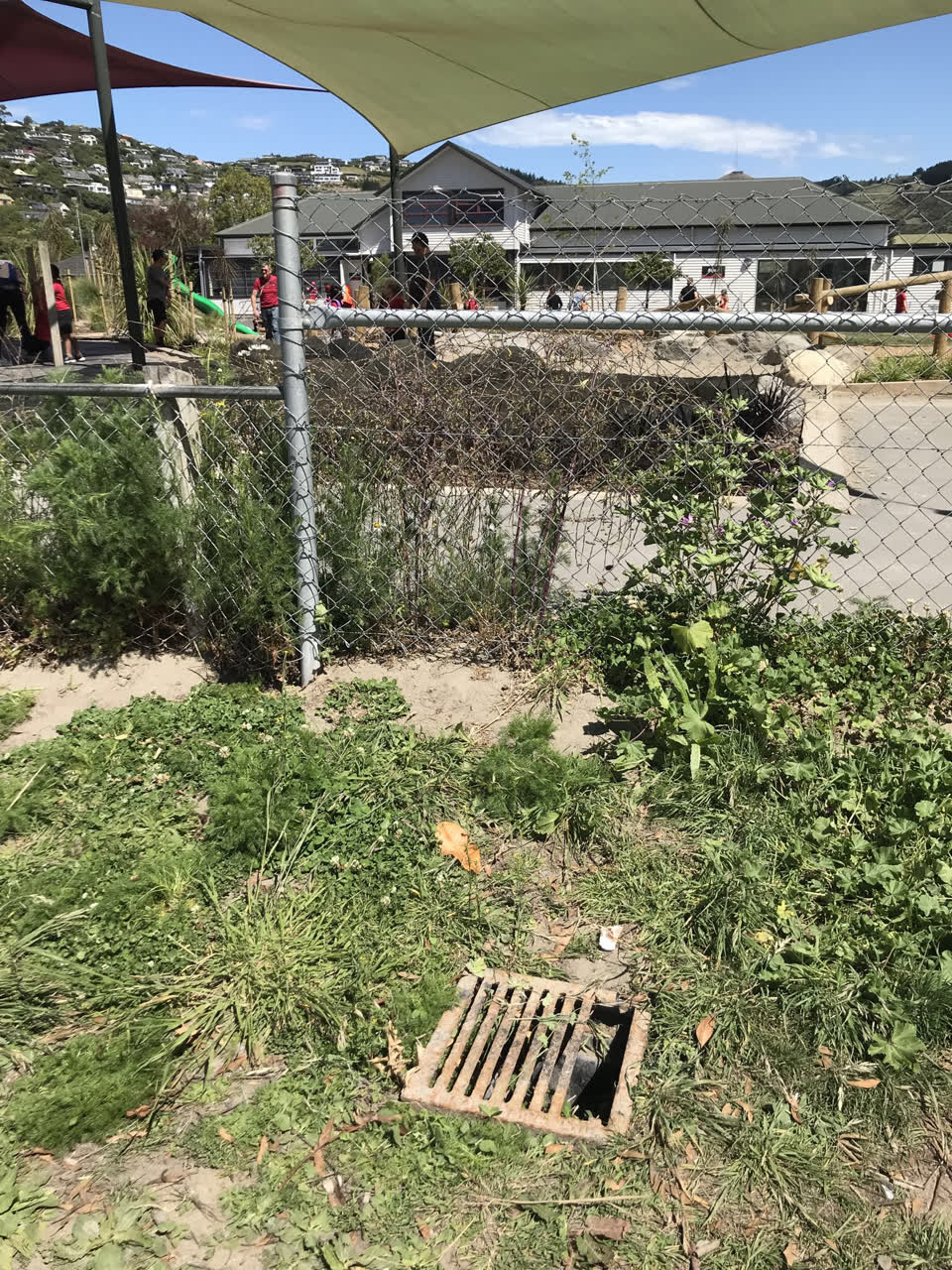 The photograph attached to this parks report