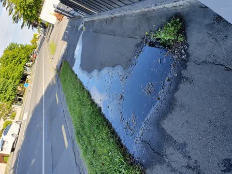 Sewer - Leak / Blockage, a report photo