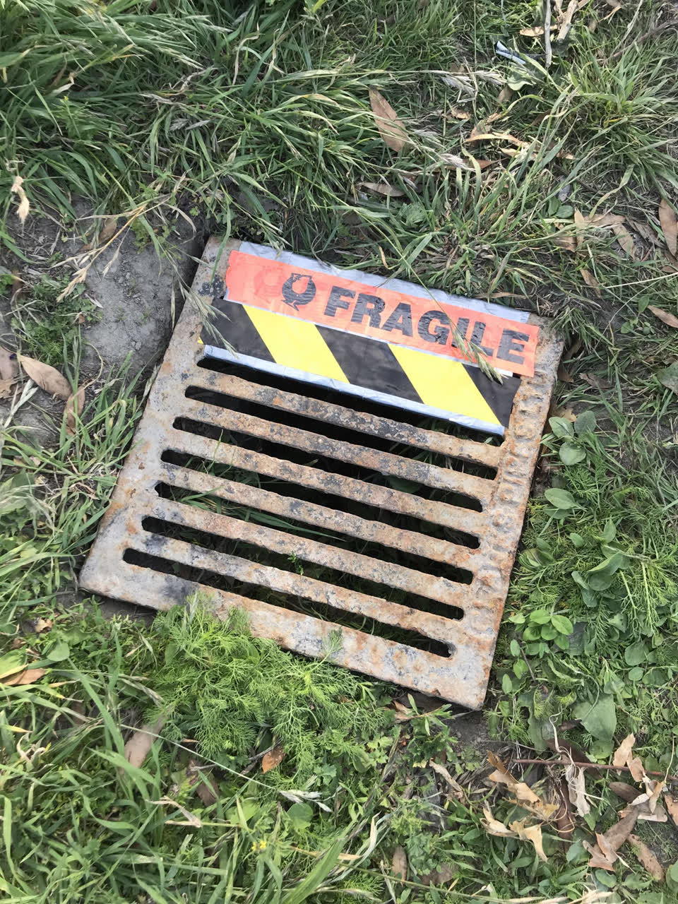 The photograph attached to this parks report