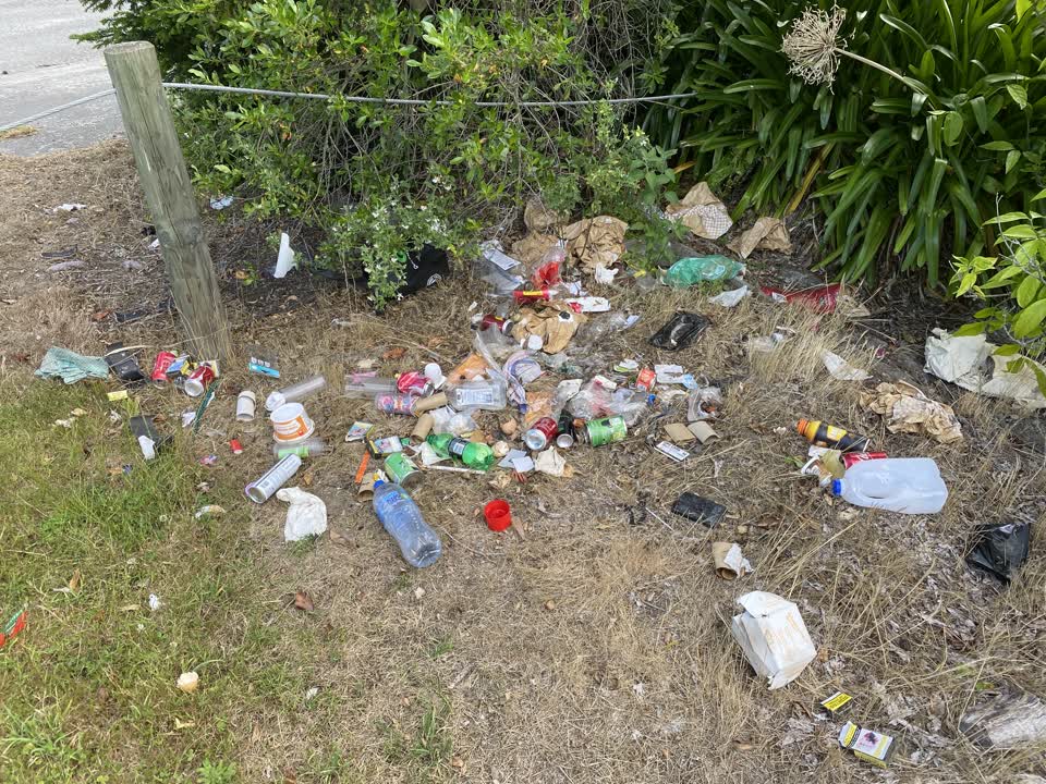 The photograph attached to this parks report
