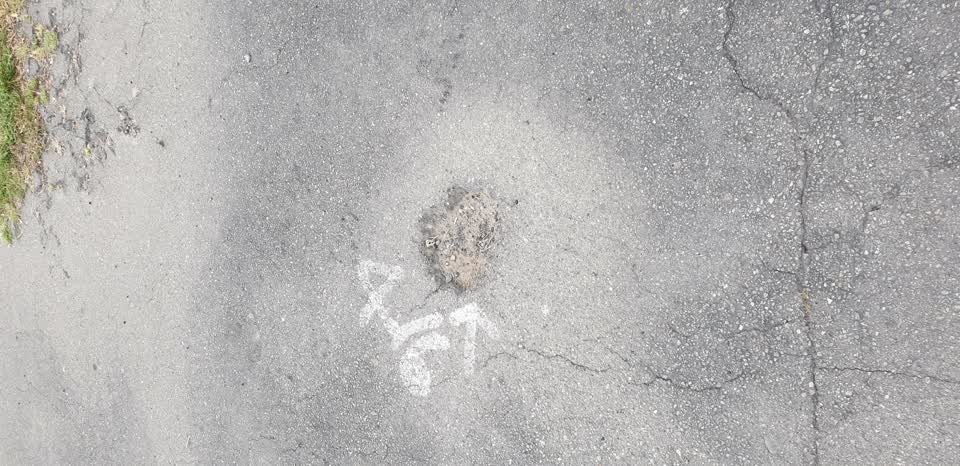 The photograph attached to this street light outage report