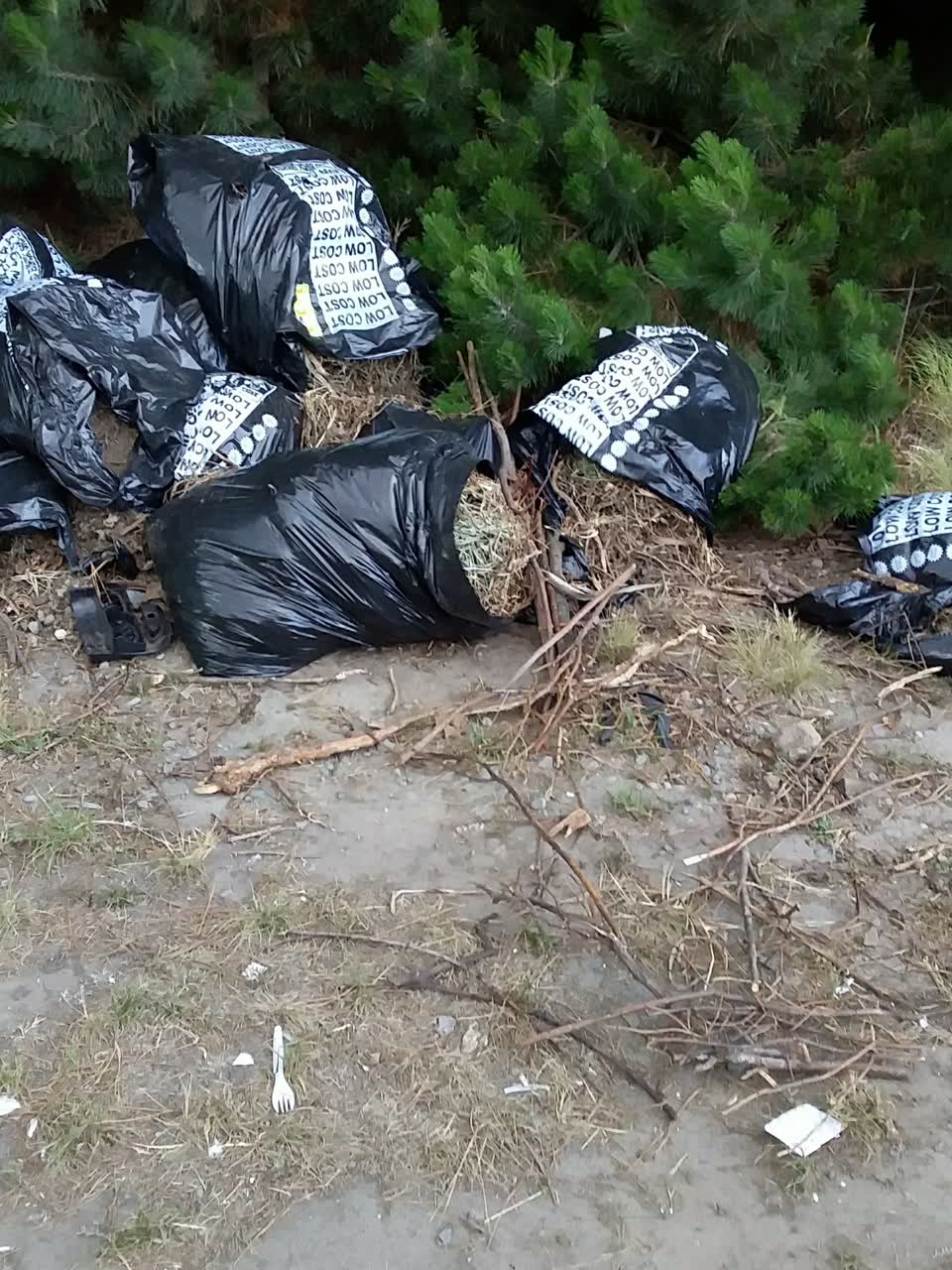 The photograph attached to this rubbish/recycling report