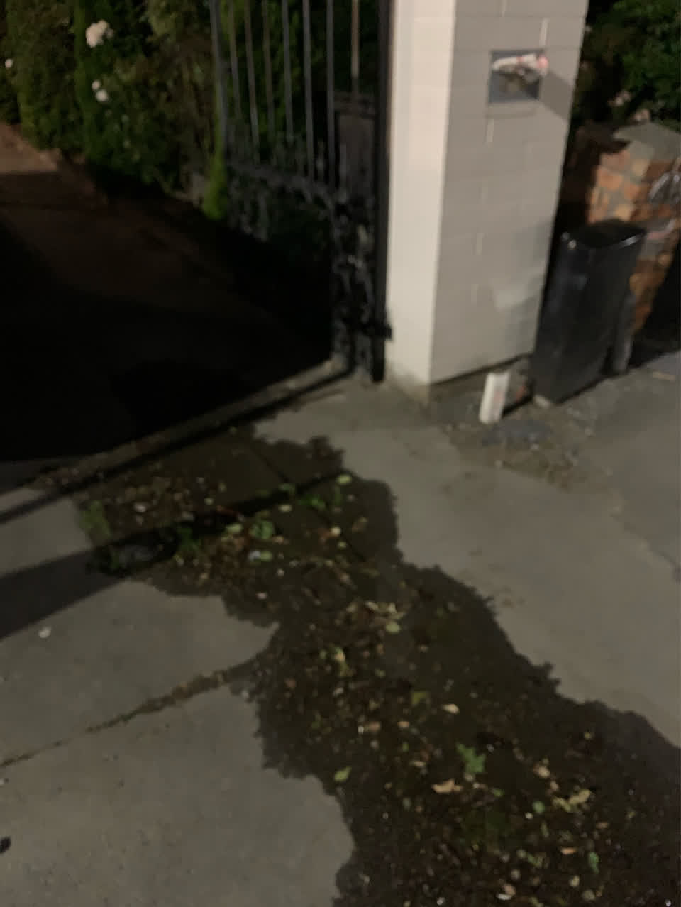 The photograph attached to this water supply report
