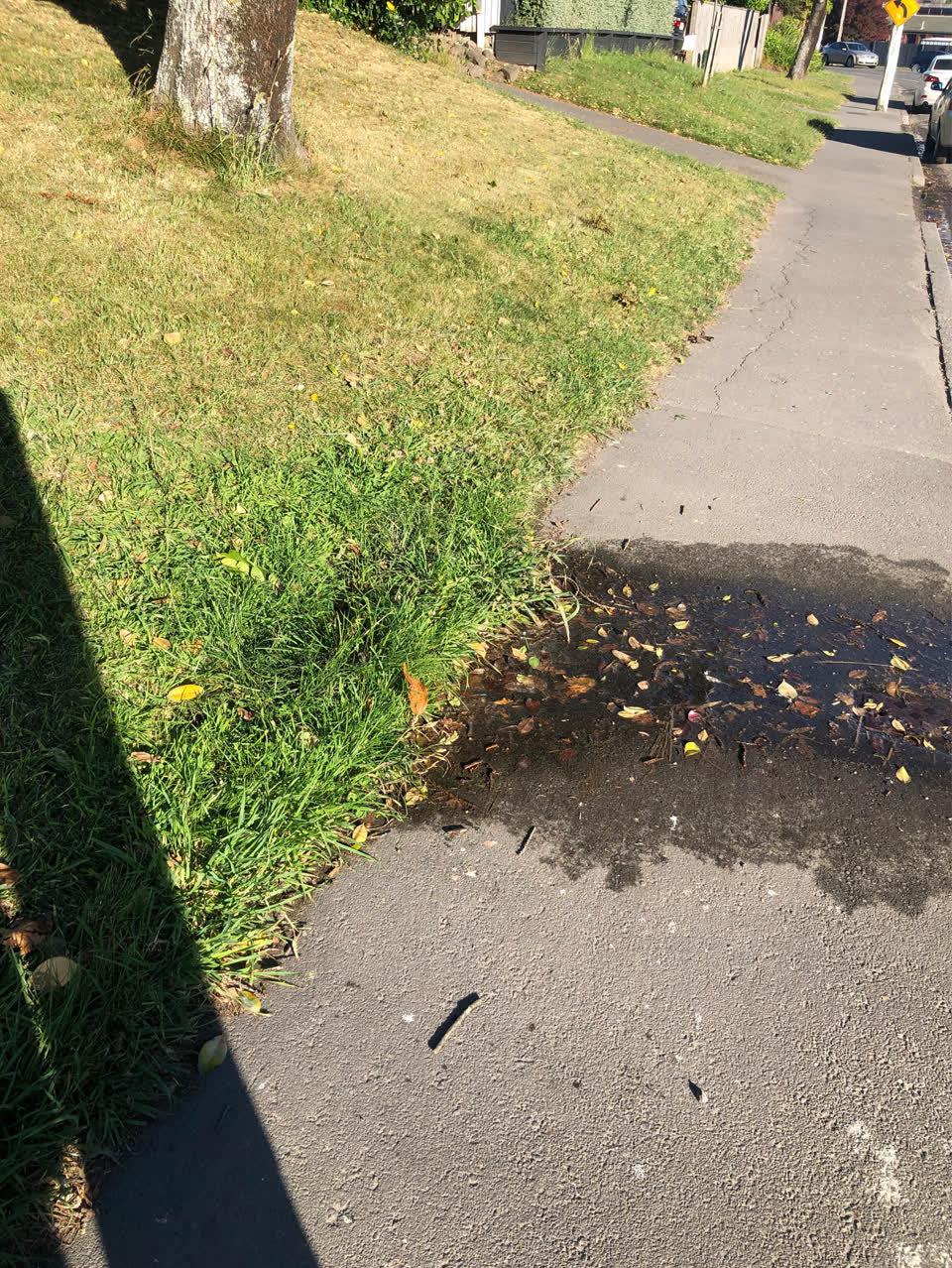 The photograph attached to this water leak report