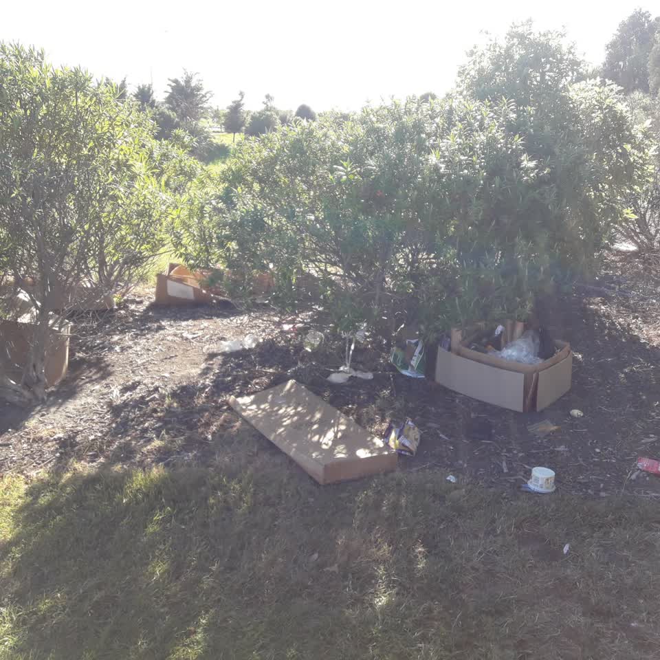 The photograph attached to this parks report