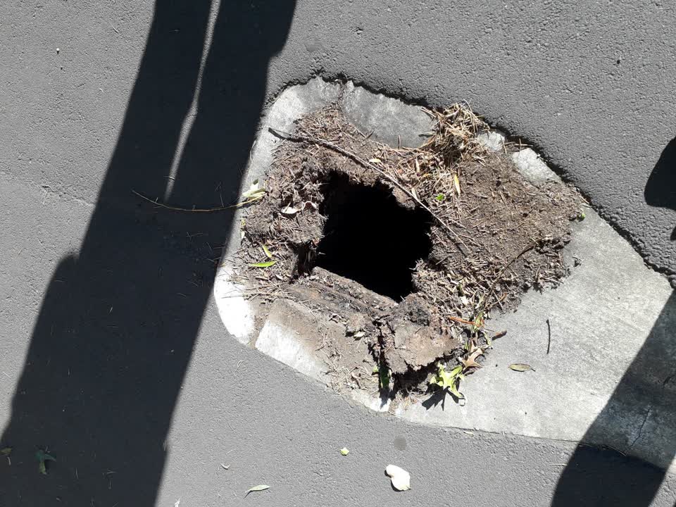 The photograph attached to this sewer - general report