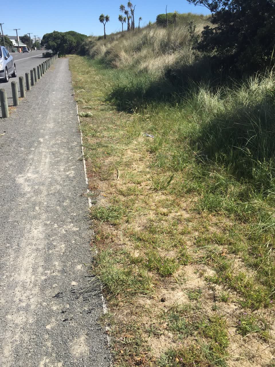The photograph attached to this parks report