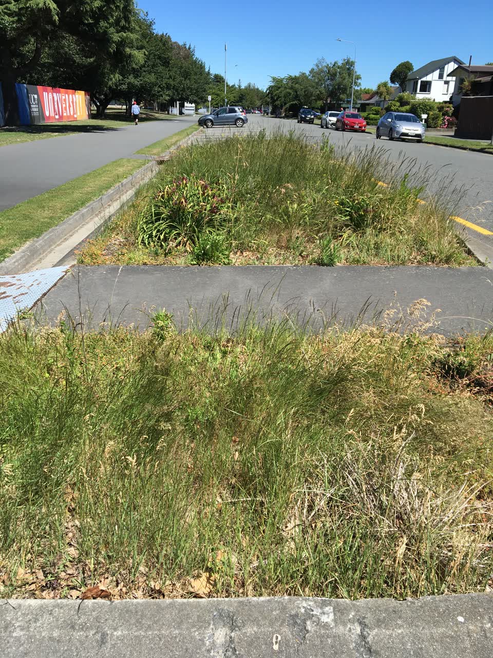 The photograph attached to this parks report